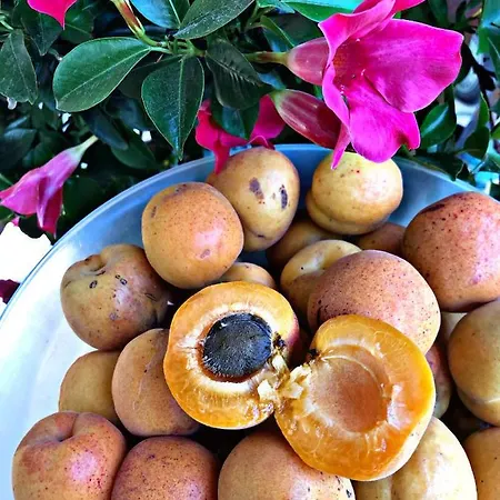 Domus De Goene Loceri