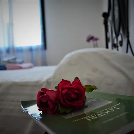 ファームステイ Domus De Goene Loceri