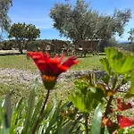 Domus De Goene *