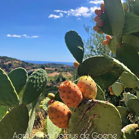 Farm stay Domus De Goene