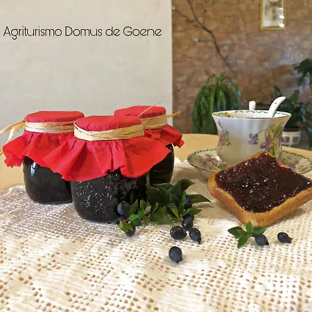 Farm stay Domus De Goene *