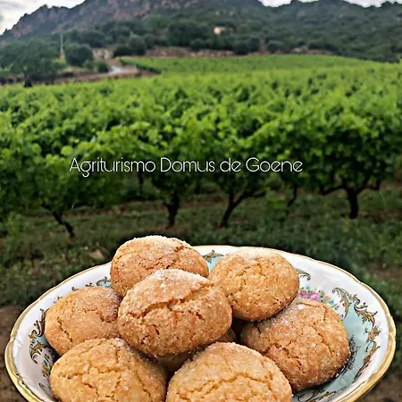 Domus De Goene Farm stay