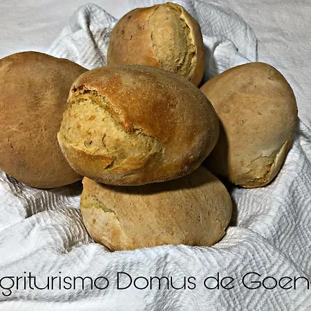 Domus De Goene *