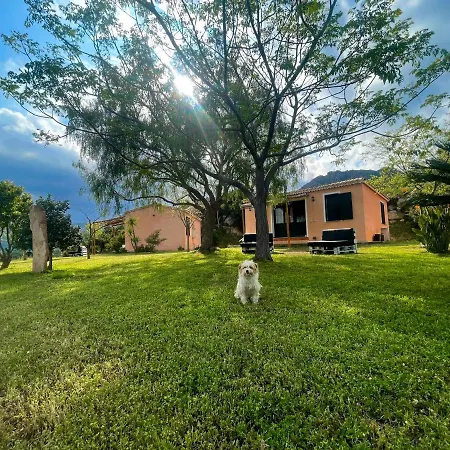 Domus De Goene * Loceri