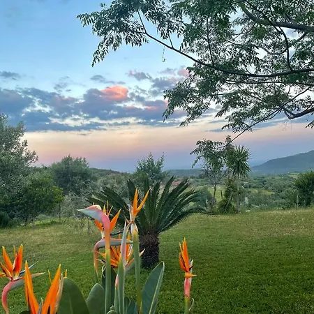 Domus De Goene * Loceri