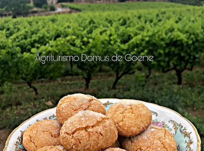 Domus De Goene Alloggio per agriturismo