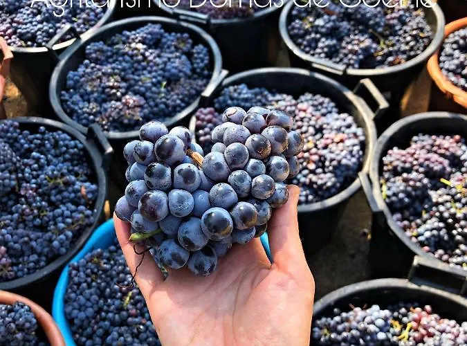 Alloggio per agriturismo Domus De Goene